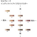 セルヴォーク インディケイトアイブロウパウダー の色味を黄み・青み・明度・暗度の4軸で比較したチャート画像。パーソナルカラー（ブルベ／イエベ）別に分類